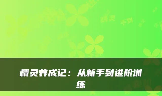 精灵养成记：从新手到进阶训练