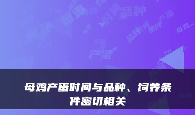 母鸡产蛋时间与品种、饲养条件密切相关