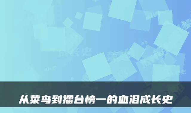 从菜鸟到擂台榜一的血泪成长史
