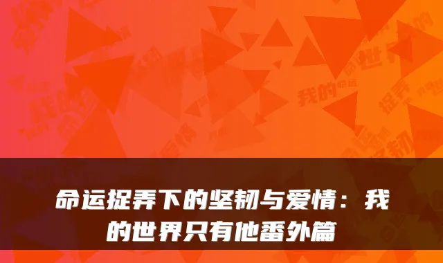 命运捉弄下的坚韧与爱情：我的世界只有他番外篇