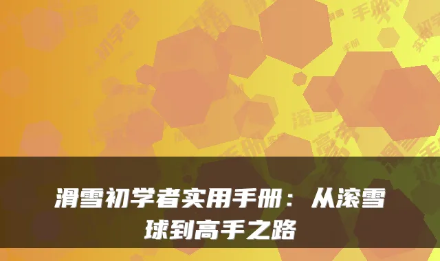 滑雪初学者实用手册：从滚雪球到高手之路