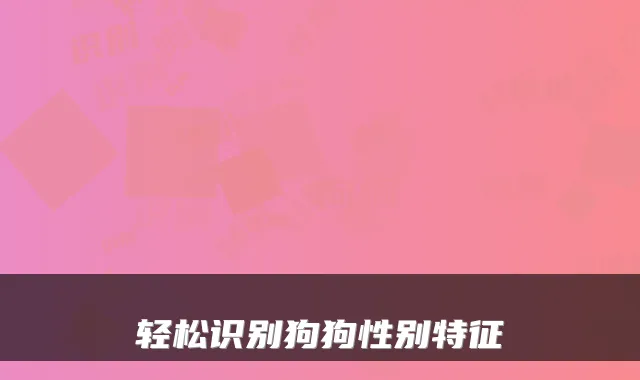 轻松识别狗狗性别特征