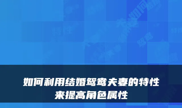如何利用结婚鸳鸯夫妻的特性来提高角色属性