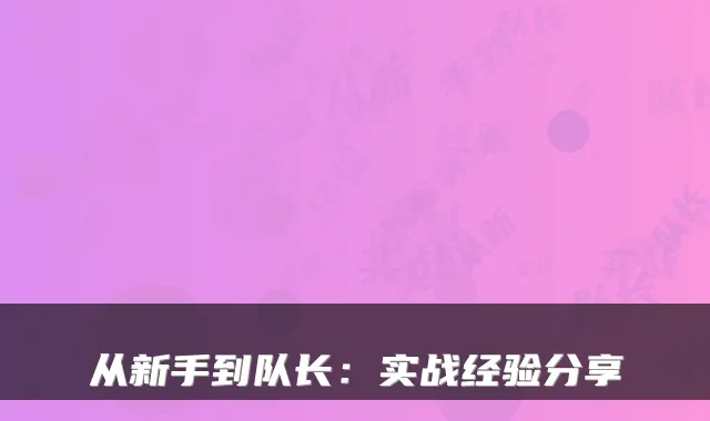 从新手到队长:实战经验分享