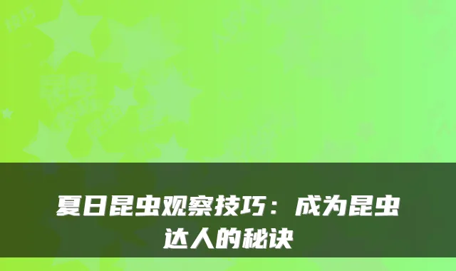 夏日昆虫观察技巧：成为昆虫达人的秘诀