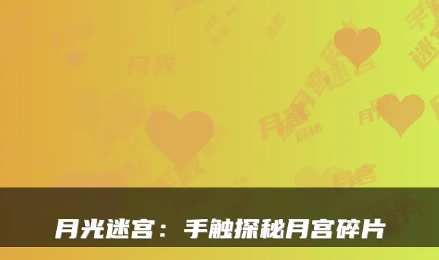 月光迷宫：手触探秘月宫碎片