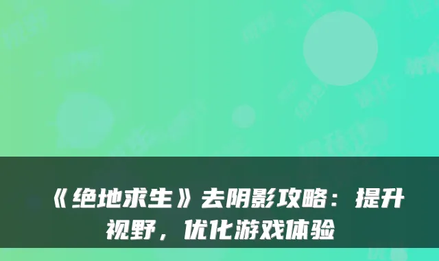《绝地求生》去阴影攻略：提升视野，优化游戏体验