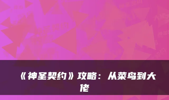 《神圣契约》攻略：从菜鸟到大佬