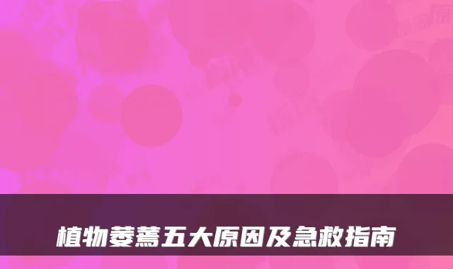 植物萎蔫五大原因及急救指南