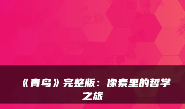 《青鸟》完整版：像素里的哲学之旅