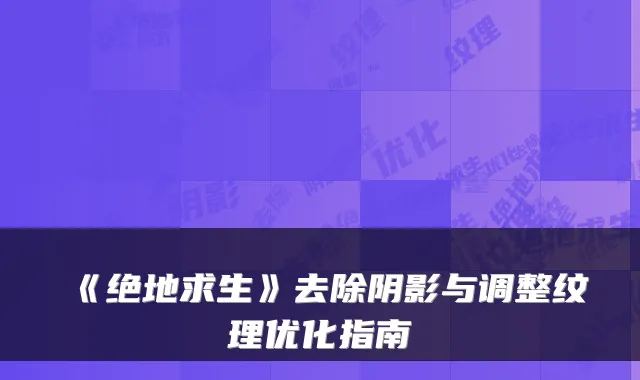 《绝地求生》去除阴影与调整纹理优化指南