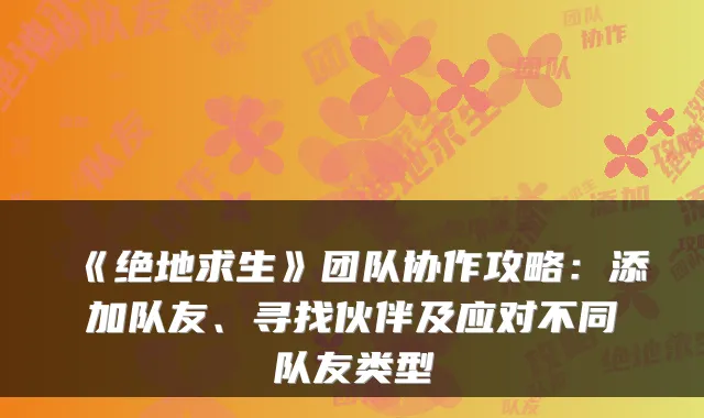 《绝地求生》团队协作攻略：添加队友、寻找伙伴及应对不同队友类型