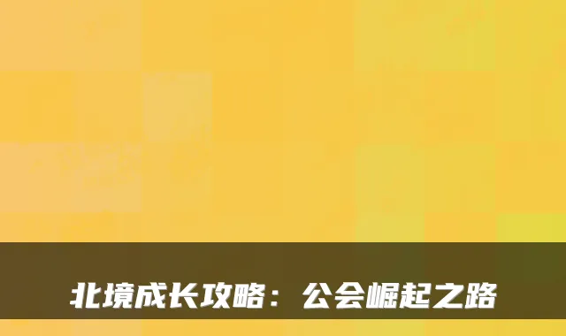北境成长攻略：公会崛起之路