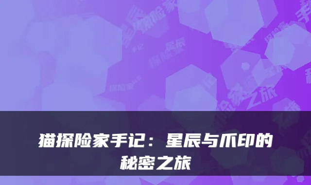 猫探险家手记：星辰与爪印的秘密之旅