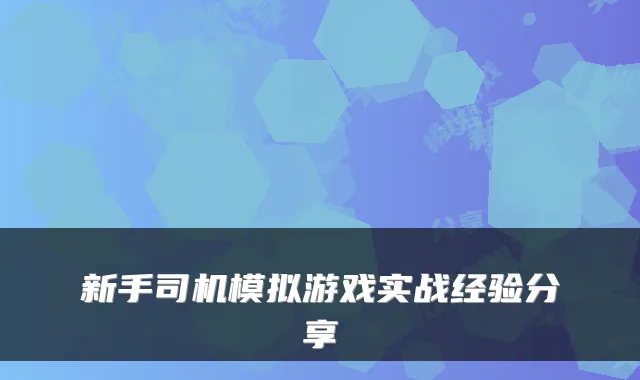 新手司机模拟游戏实战经验分享