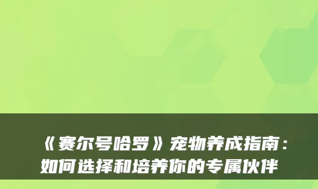 《赛尔号哈罗》宠物养成指南：如何选择和培养你的专属伙伴