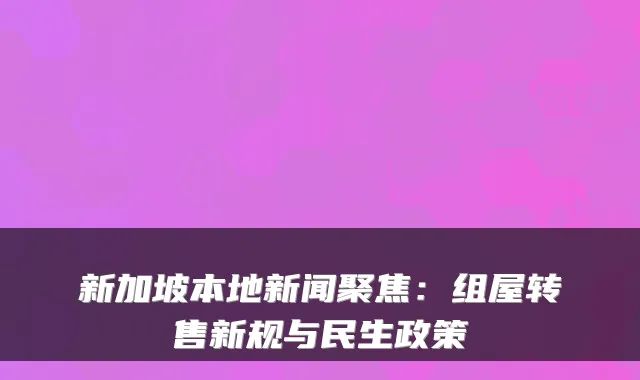 新加坡本地新闻聚焦:组屋转售新规与民生政策