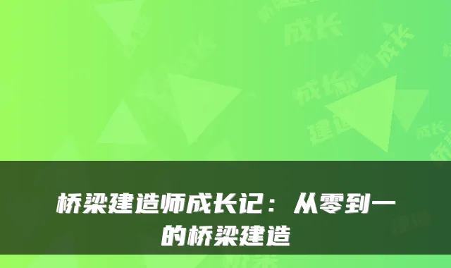 桥梁建造师成长记:从零到一的桥梁建造