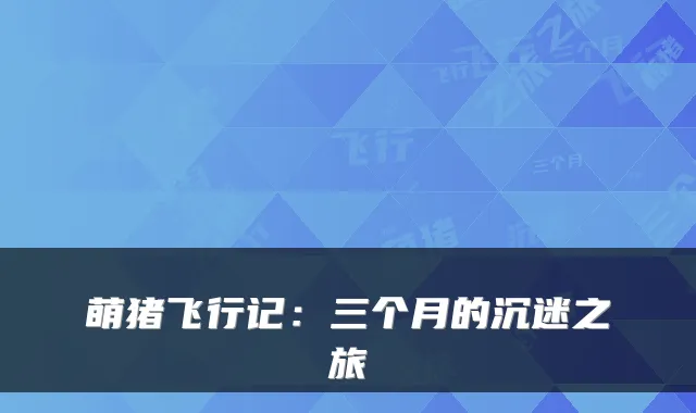 萌猪飞行记：三个月的沉迷之旅
