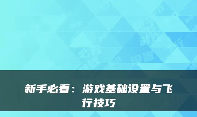 新手必看:游戏基础设置与飞行技巧