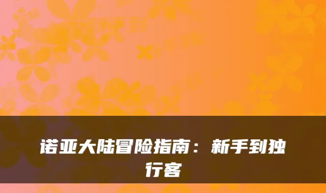 诺亚大陆冒险指南：新手到独行客