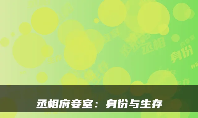 丞相府妾室：身份与生存