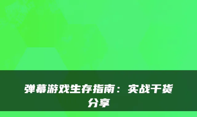 弹幕游戏生存指南：实战干货分享