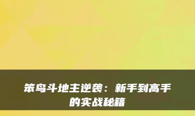 笨鸟斗地主逆袭：新手到高手的实战秘籍