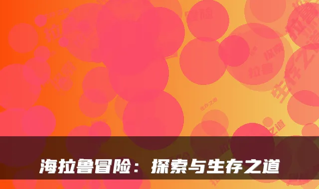 海拉鲁冒险:探索与生存之道