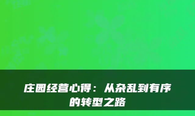 庄园经营心得:从杂乱到有序的转型之路