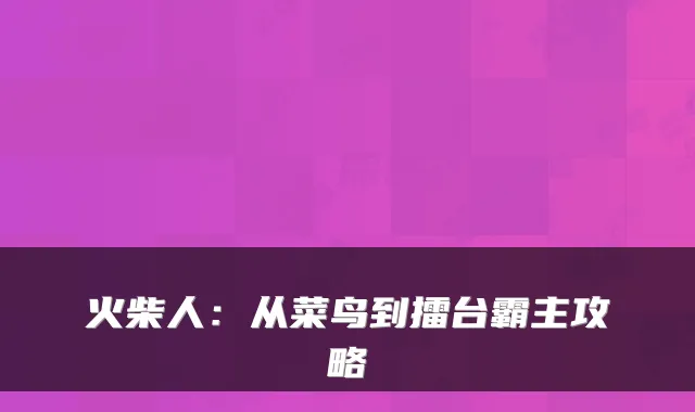 火柴人：从菜鸟到擂台霸主攻略