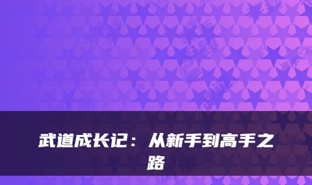 武道成长记：从新手到高手之路