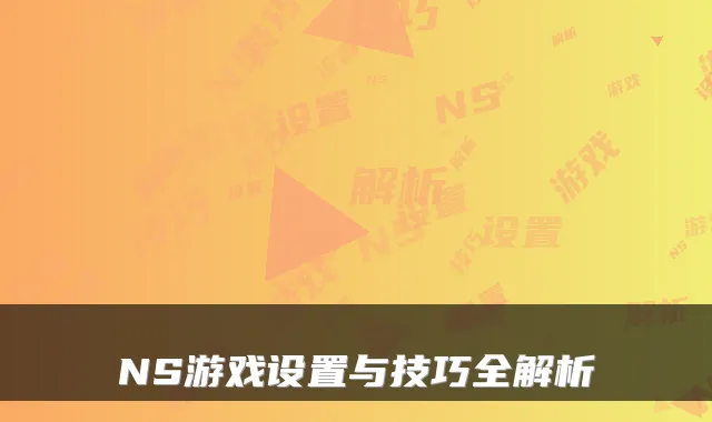 NS游戏设置与技巧全解析