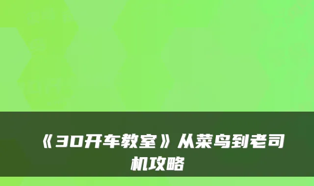 《3D开车教室》从菜鸟到老司机攻略