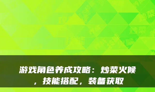 游戏角色养成攻略:炒菜火候,技能搭配,装备获取