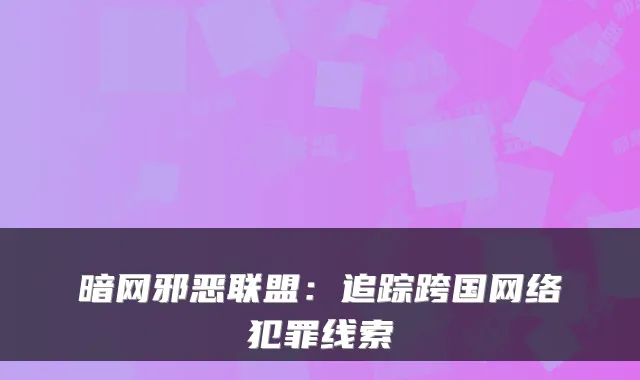 暗网邪恶联盟：追踪跨国网络犯罪线索