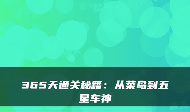 365天通关秘籍：从菜鸟到五星车神
