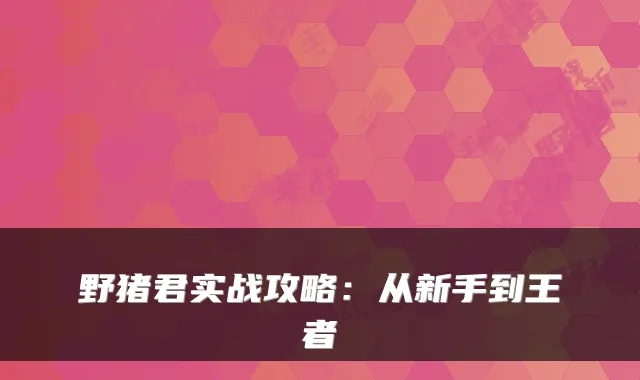 野猪君实战攻略:从新手到王者