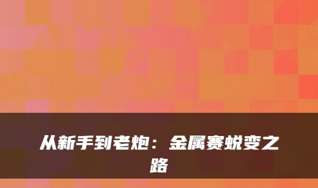 从新手到老炮：金属赛蜕变之路