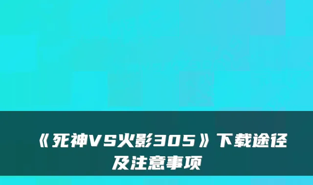 《死神VS火影305》下载途径及注意事项
