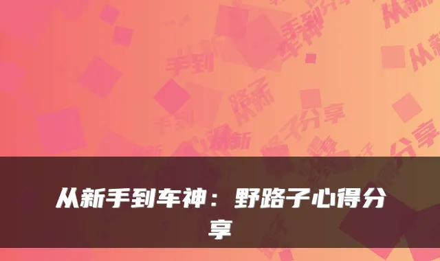 从新手到车神:野路子心得分享