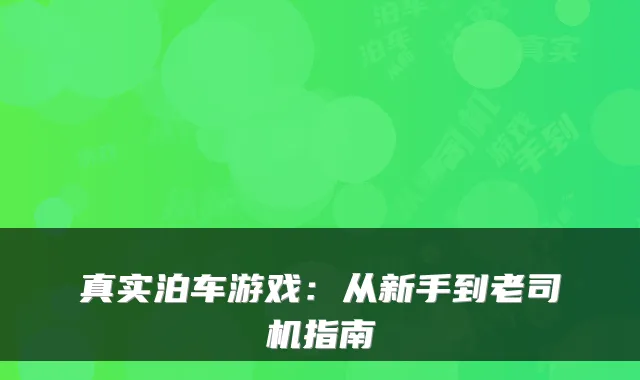 真实泊车游戏：从新手到老司机指南