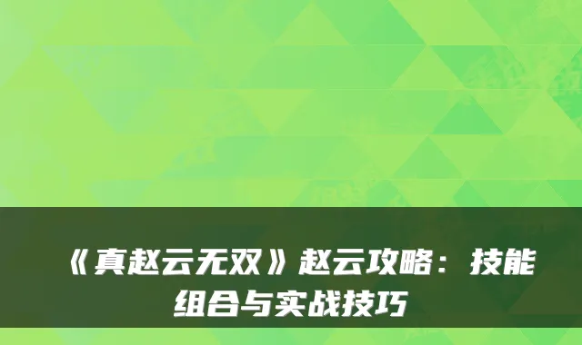 《真赵云无双》赵云攻略：技能组合与实战技巧
