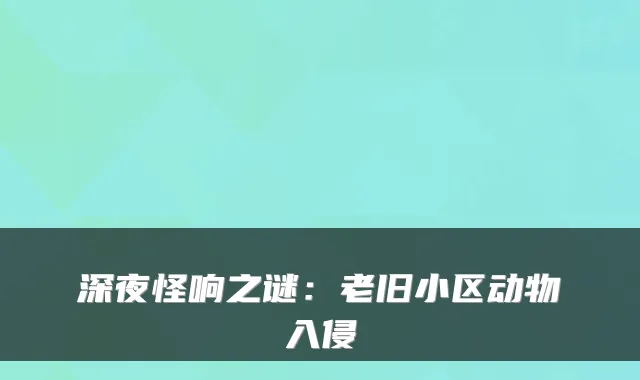 深夜怪响之谜：老旧小区动物入侵