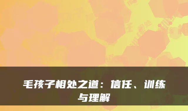 毛孩子相处之道:信任、训练与理解