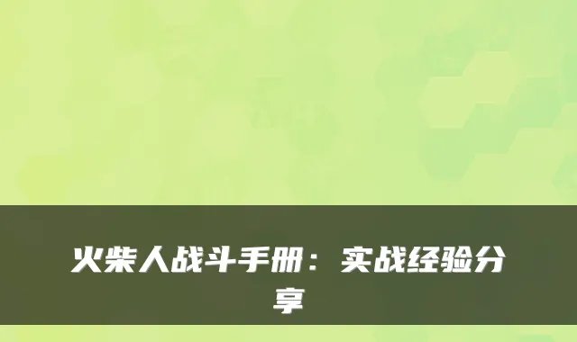 火柴人战斗手册:实战经验分享