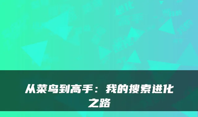 从菜鸟到高手：我的搜索进化之路