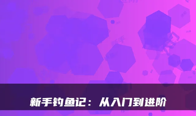 新手钓鱼记：从入门到进阶