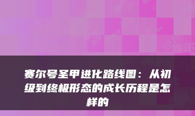赛尔号圣甲进化路线图：从初级到终极形态的成长历程是怎样的
