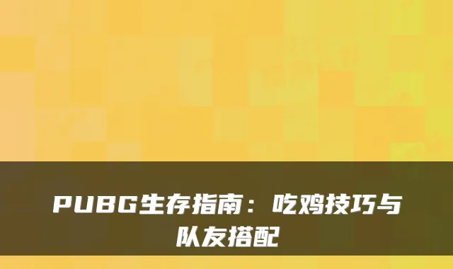 PUBG生存指南:吃鸡技巧与队友搭配
